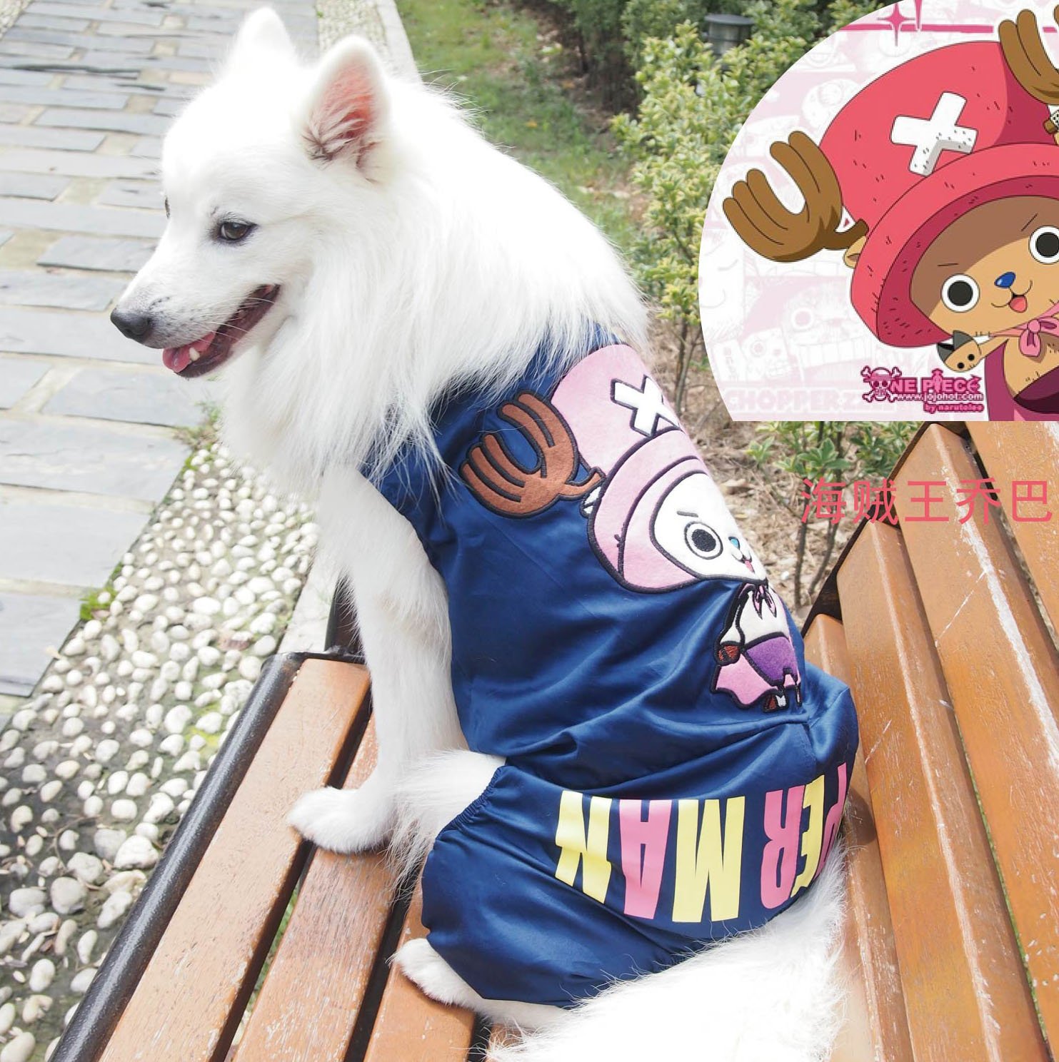 FDSG宠物四脚衣狗狗夏季衣服中型犬哈士奇银狐柯基可卡喜乐蒂宠物
