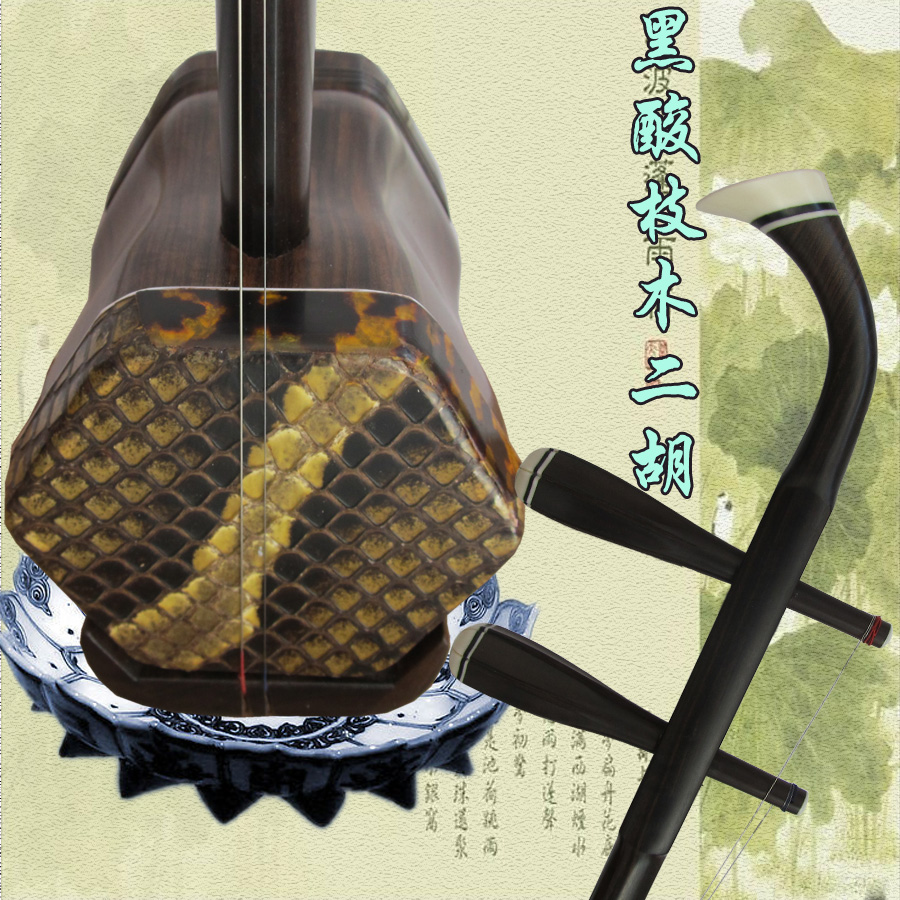 演奏黑酸枝二胡可选蟒皮 红木专业二胡乐器初学特价包邮教材配件
